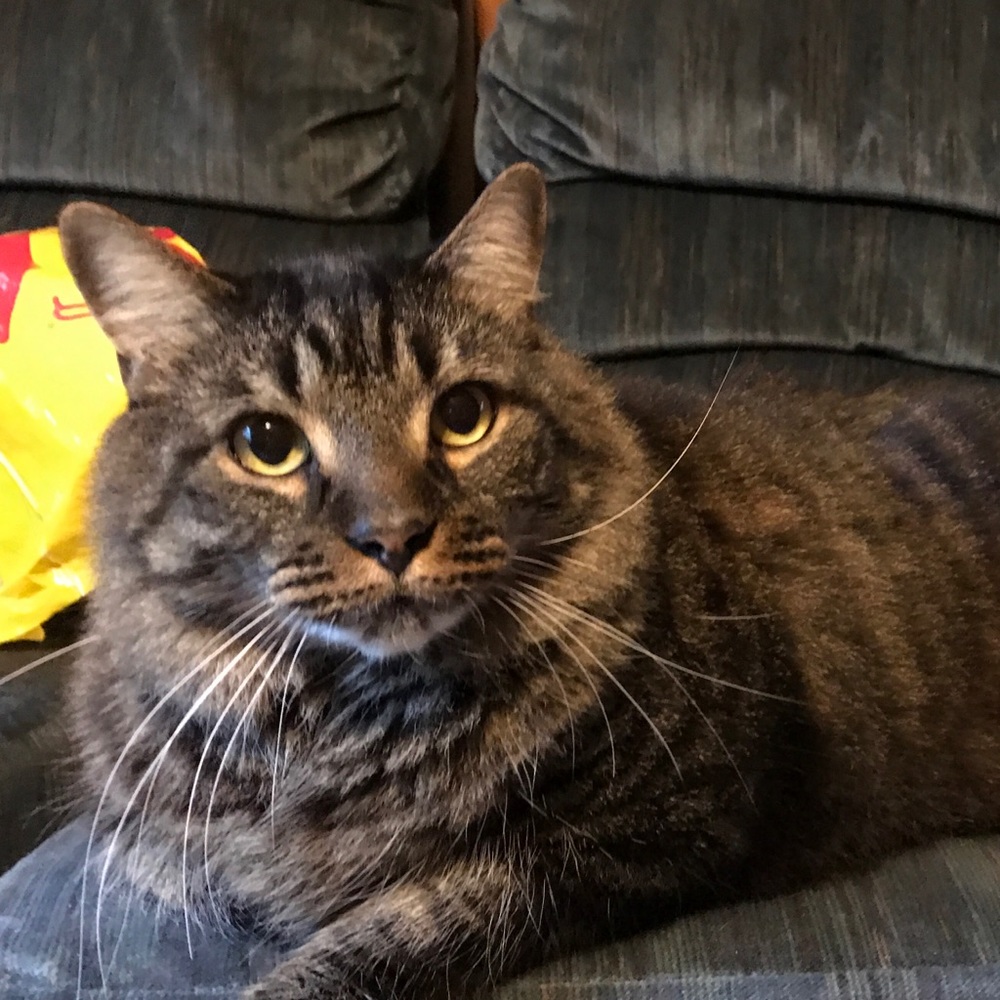 Meet your Posher, Mary